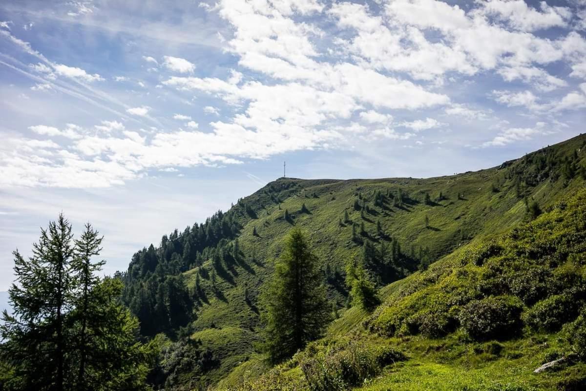 Ferienwohnung Hartlieb Goldeck Millstaettersee Spittal an der Drau-i járás Kültér fotó